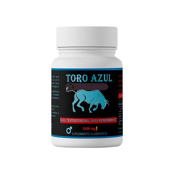 Toro Azul